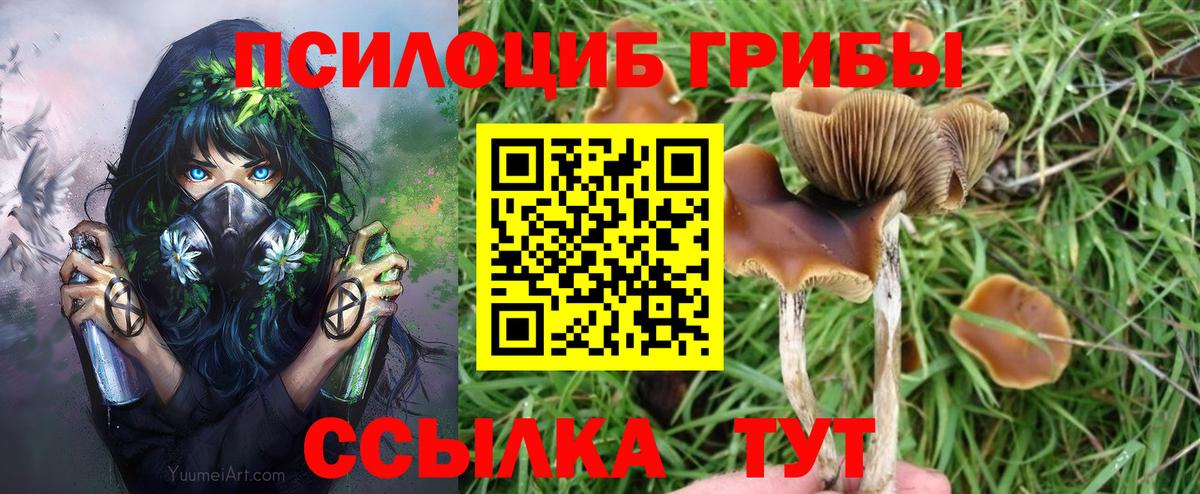 Псилоцибиновые грибы ЛСД  Вход с VPN  Тихвин 