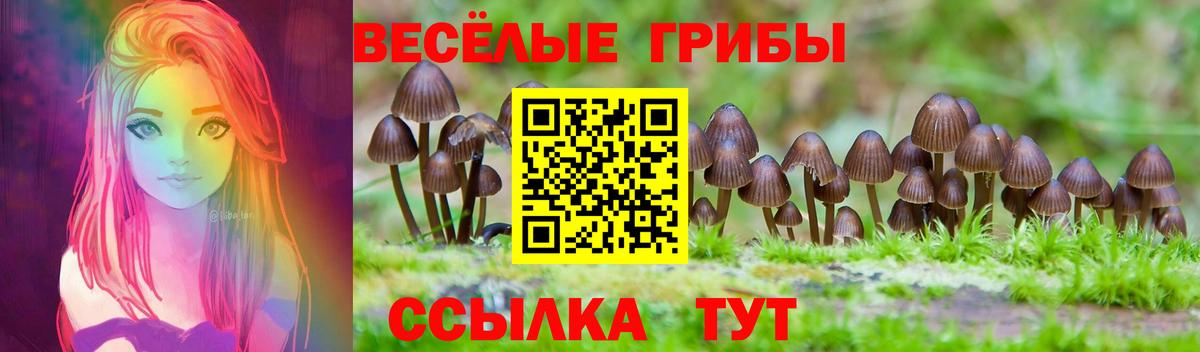 Галлюциногенные грибы прущие грибы Тихвин